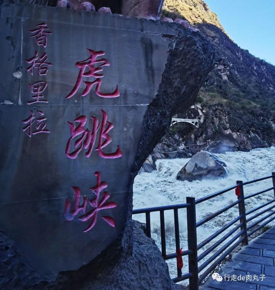 落水狗血战日