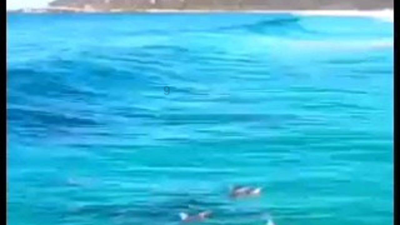 网络公司逃脱