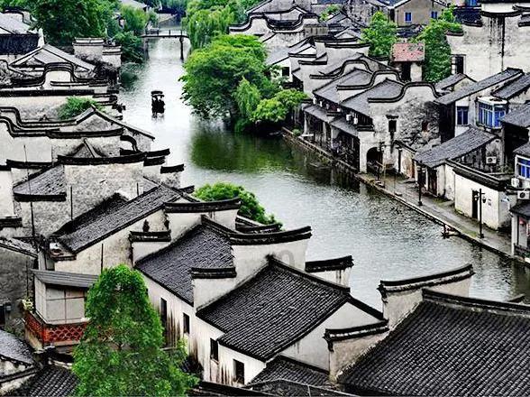 植物大战僵尸2