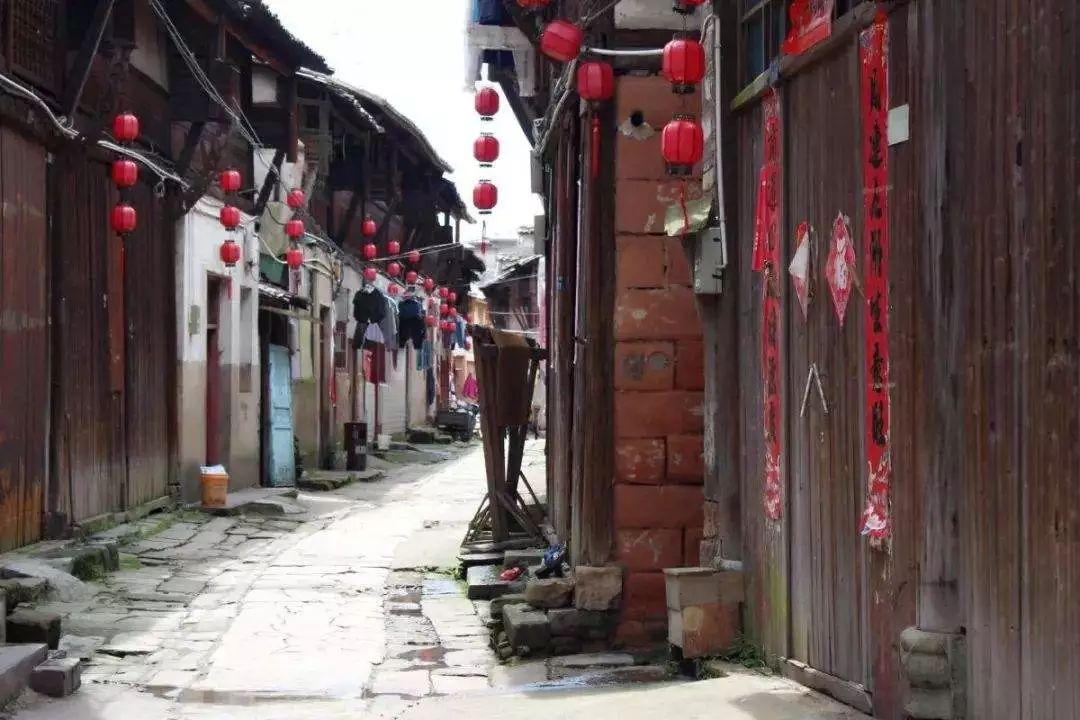 拯救穆尔小马