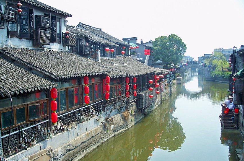 可爱的小孔雀救援